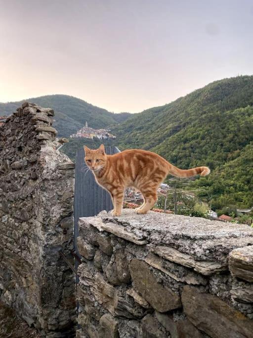 Iconic Italian Townhouse W Rooftop Terrace & Mountain View, Pigna Dış mekan fotoğraf