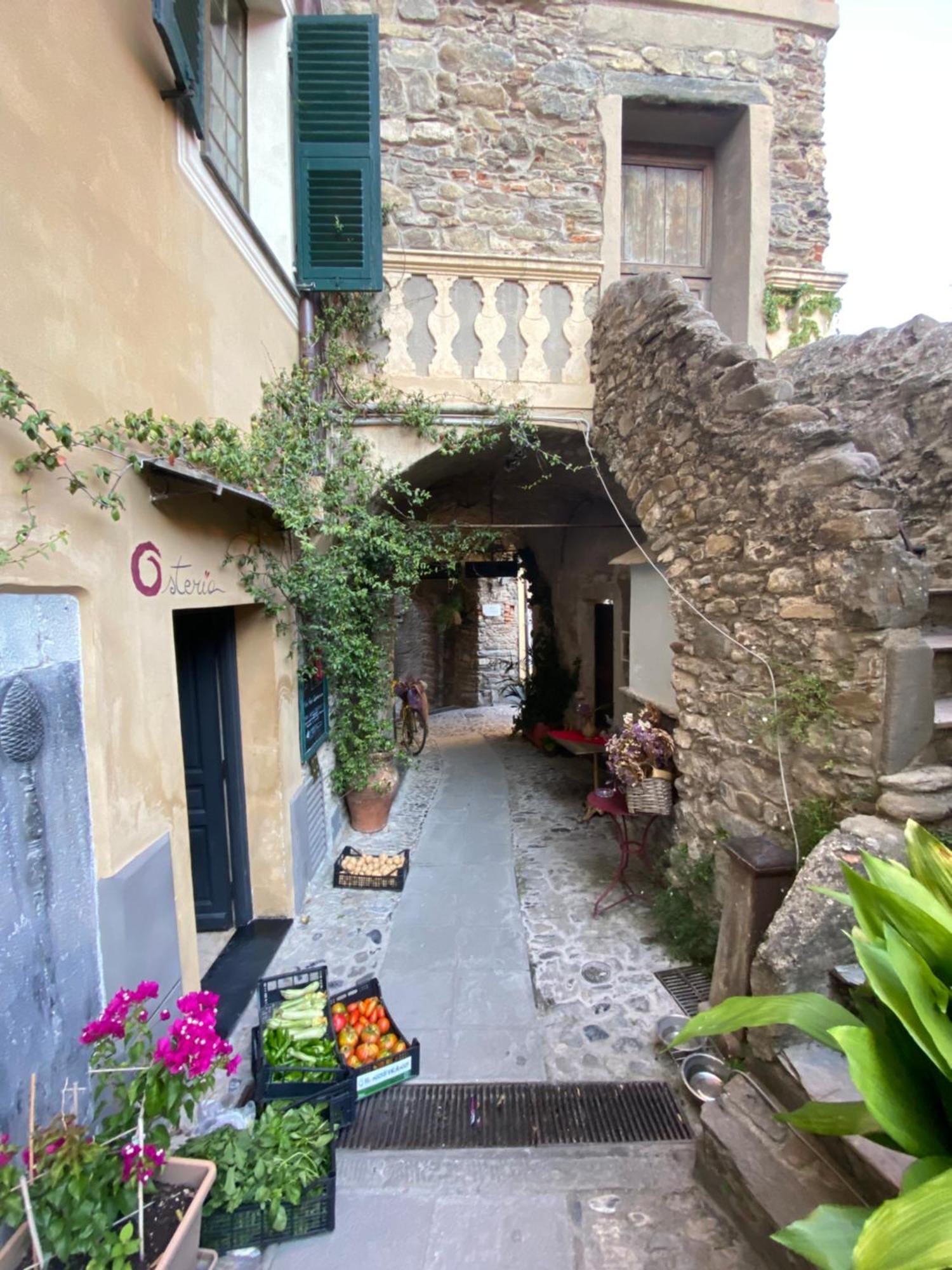 Iconic Italian Townhouse W Rooftop Terrace & Mountain View, Pigna Dış mekan fotoğraf