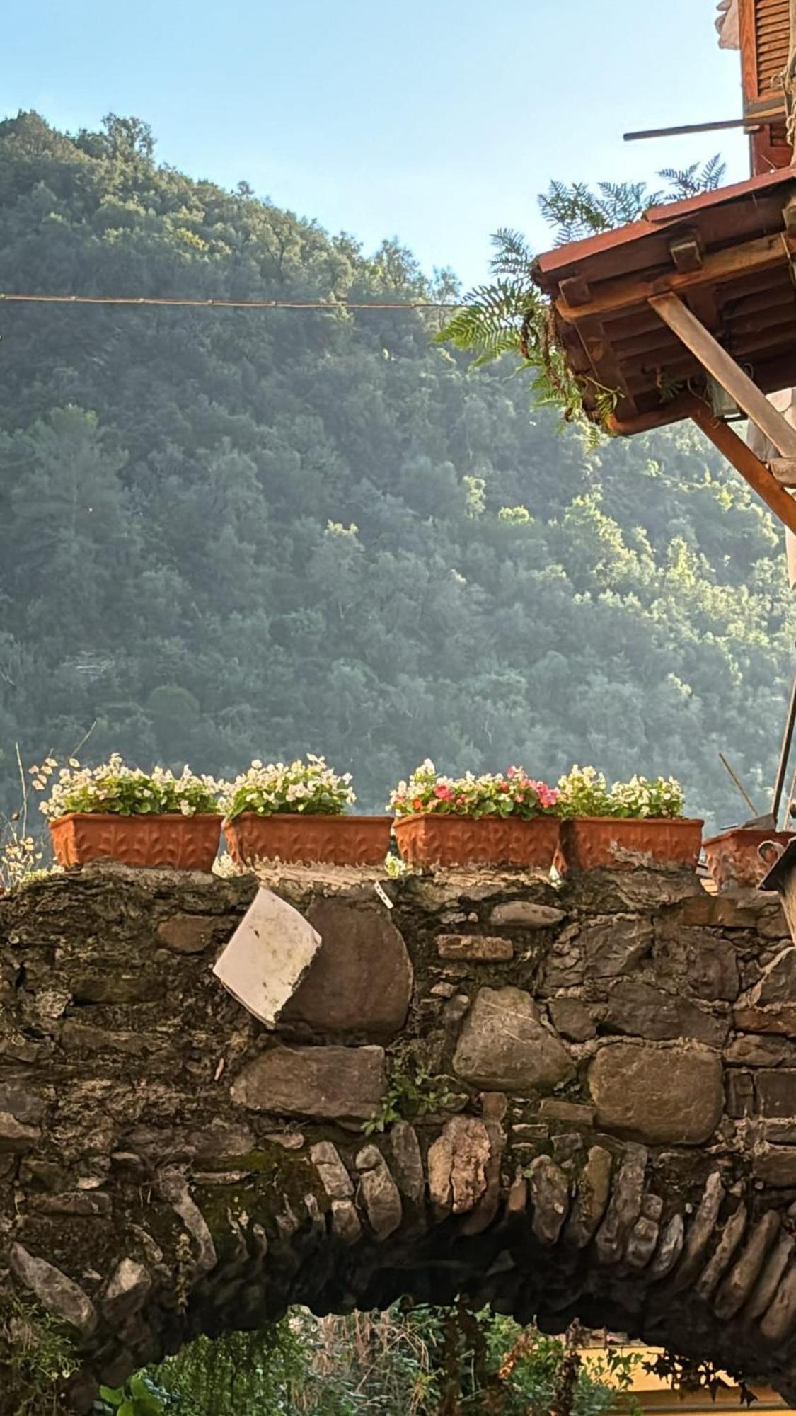 Iconic Italian Townhouse W Rooftop Terrace & Mountain View, Pigna Dış mekan fotoğraf